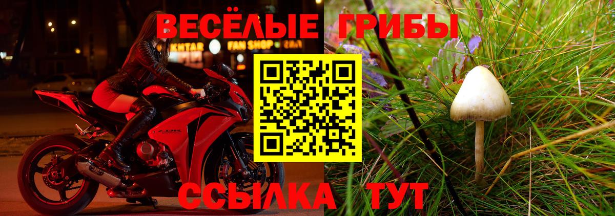 как найти закладки  Галлюциногенные грибы Cubensis  Вход с VPN  Благодарный 